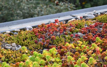the cost of Norton Fitzwarren green roof installation