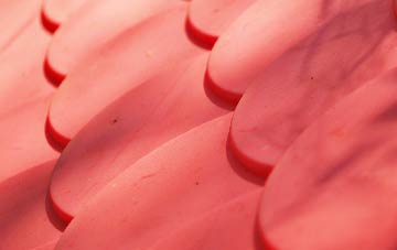 Norton Fitzwarren plastic roof costs