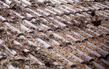 Norton Fitzwarren roof cleaning companies