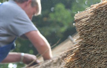 professional Norton Fitzwarren thatchers