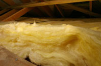 Norton Fitzwarren pitch roof insulation
